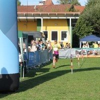 IMG 7655