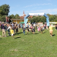 IMG 7798