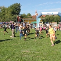 IMG 7799