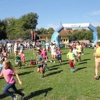 IMG 7851