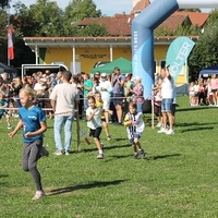 IMG 7856