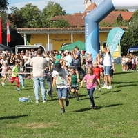 IMG 7858
