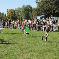 IMG 7871