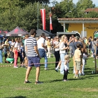 IMG 7887