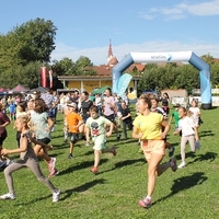 IMG 7892