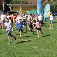 IMG 7894