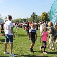 IMG 7910