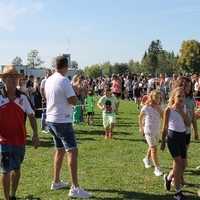 IMG 7919