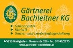 Gartencenter & Floristik (Gärtnerei BACHLEITNER)