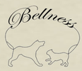 Bellness - Tierernährung & Tiermassage Sabine Mayer