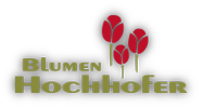 Blumen Ternitz (Blumen Hochhofer)