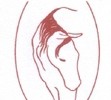 Martina Mantler - Cranial Fluid Dynamics (CFD) für Mensch und Pferd Horsemanship-Training