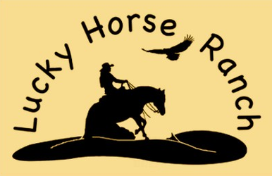 LUCKY HORSE RANCH, Westernreiten auf der Mühlviertler Alm. Ausbildung für Reiter und Pferd, Einstellplätze in Schönau im Bezirk Freistadt.