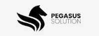 Firmensitz Linz (Pegasus Solution Group GmbH)