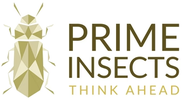 PRIME INSECTS KG