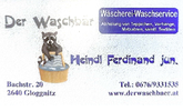 Der Waschbär - Heindl Ferdinand jun.