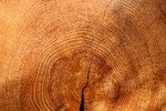 Sägewerk & Holzhandel Bartolot