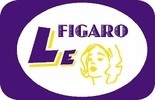 Le Figaro Gartner e.U.