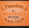 FaSSSec SECURITY services e.U.