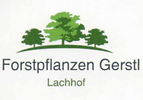 Gerstl - Forstpflanzen - Reitstall