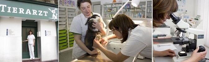 Tierarztpraxis Hetzgasse