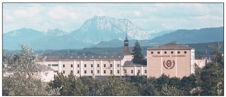 Vöcklabrucker Kunstmühle