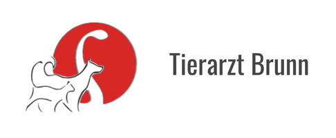 Dr. Bernadette Schildorfer - Tierarzt Brunn