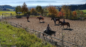 Sun Side Ranch - Westernreiten - Reitkurse - Rebekka Ablinger - Zell am Pettenfirst