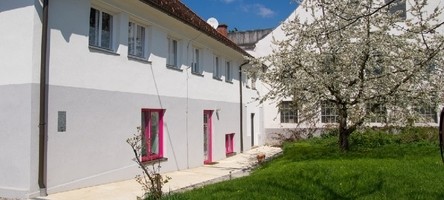 Painless Institut Schönherr Steyr