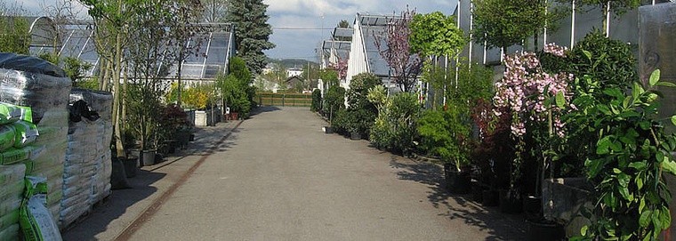 02 Panorama Gartencenter & Floristik Moosstraße