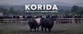 Korida - The Film