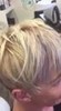#schwarzkopfro #igoraroyal #koolblondes #StrongBonds # fibreplexeffect #pearlessence