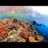Ocean: A 360-degree tour of the mysterious, magical corals of Palau