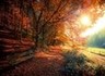 Mit Kind & Kegel wandern?
Die freie Natur ist der schönste Abenteuerspielplatz, den man Kindern bieten kann. Ob für Familien mit Kinderwägen und Laufrad oder auch Rollstuhlfahrer – OberGraz bietet sogar eine barrierefrei Runde über die Forststraße im Mühlbachgraben und zurück durch den Prälatenweg! Länge: 3 km Dauer: 1 Stunde
Näheres unter: http://bit.ly/2rpBhqR
Für das Mittagessen bietet sich die @StiftstaverneRein mit dem schattigen Gastgarten an. Wer will, besucht um 13:30 Uhr eine interessan