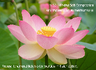 Achtwochenkurs Achtsames Selbstmitgefühl - Mindful Self Compassion