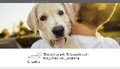 Attraktive Homepages und Accounts Juli