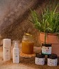 Honig-Aloe-Anwendung
