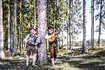 "D´Hundsbuam - Bei uns im schönen Bayernlandsl - Tour 2018"