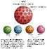 Abstrich zur Humanen Papilloma Virus Typisierung