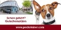 Gutscheinaktion bis 11.11.2018