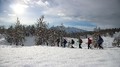 Schnupperschneeschuhwanderung