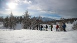 Saisonabschluss-Tour Hohe Veitsch/Turntaler Kogel/Turnauer Alm