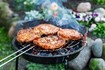 GRILLEN, CHILLEN UND BIERCHEN KILLEN !