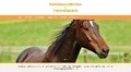 Attraktive Homepages und Accounts November