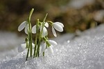 8 Wochen Kurs Achtsames Selbst-Mitgefühl