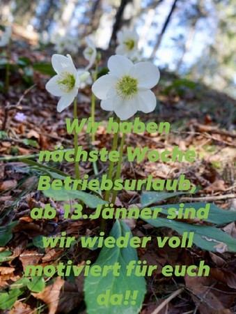 Betriebsurlaub 2020