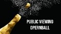 Public Viewing Opernball