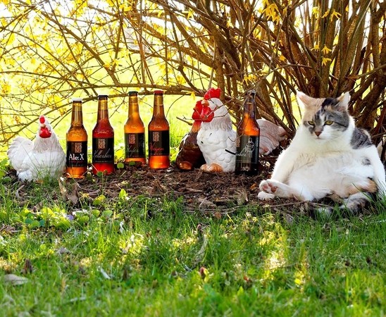 Frohe Ostern!