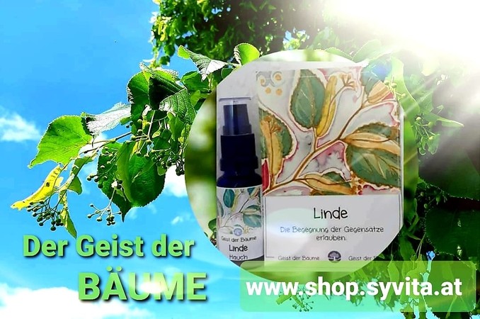 GEIST DER BÄUME I AURA Energie Sprays I SYVITA Neue Welt Online-Shop jetzt kaufen & bestellen!