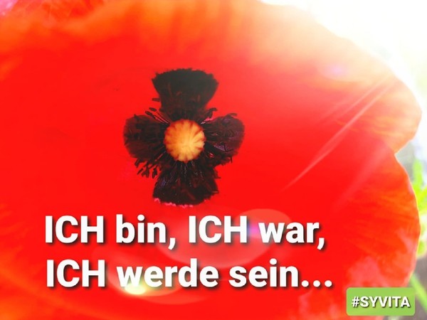 GedankenIMPULSE - ARACHAIflower - ICH bin, ICH war, ICH werde sein...